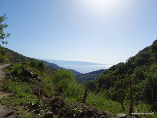 Monte Scuderi
